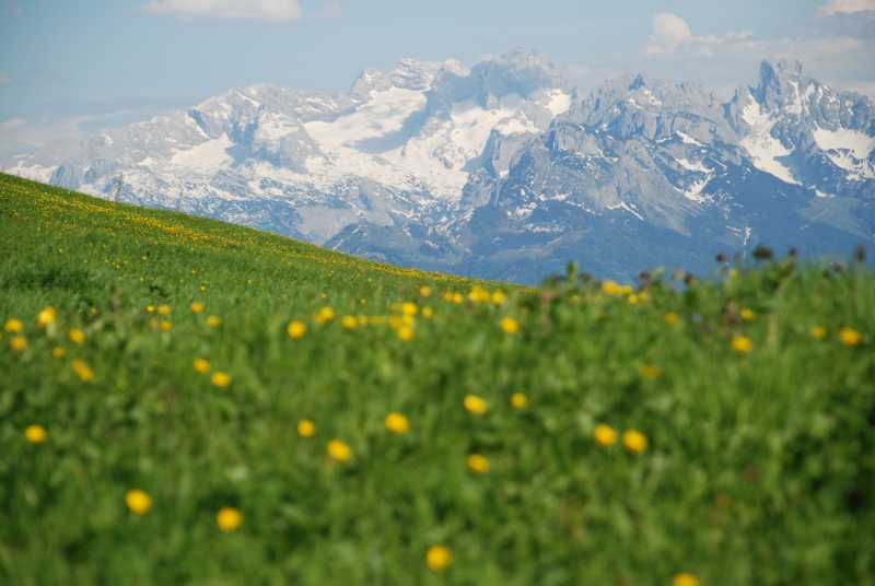 Dachstein